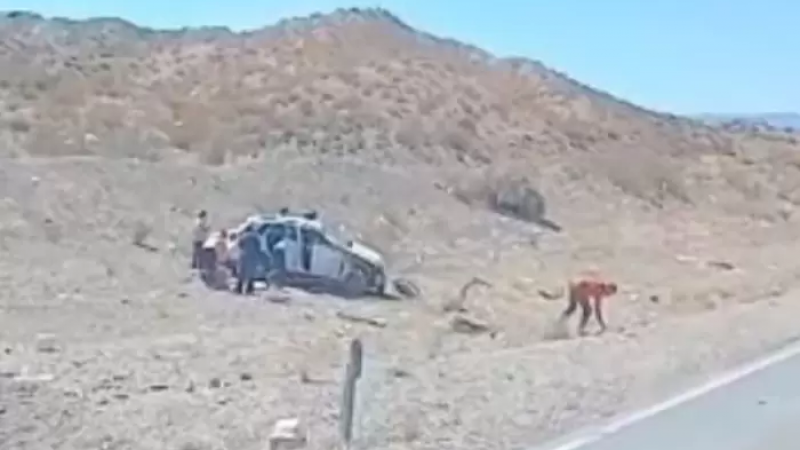 Cuatro ciudadanos chilenos resultaron heridos tras volcar en la Ruta 7
